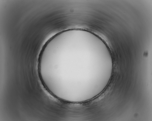 X0000100371135200807031856