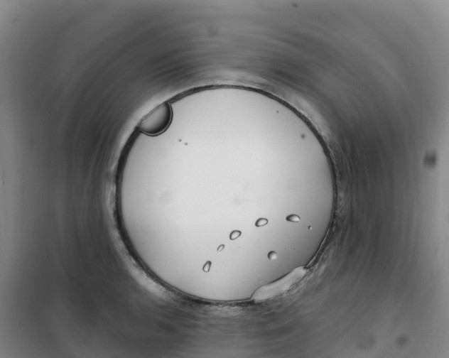 X0000100371136200807031856