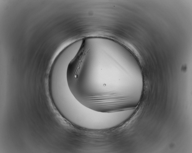 X0000100371138200807031856