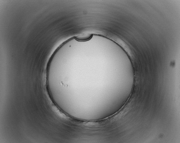 X0000100371140200807031856