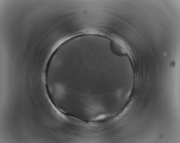 X0000100371141200807031856