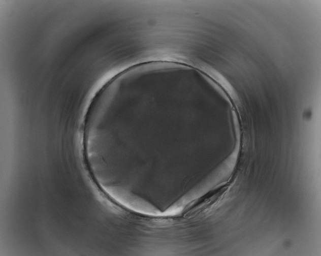 X0000100371144200807031856