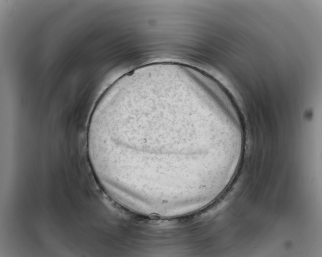 X0000100371145200807031856