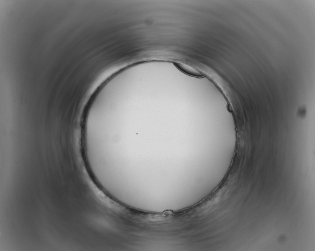 X0000100371147200807031856