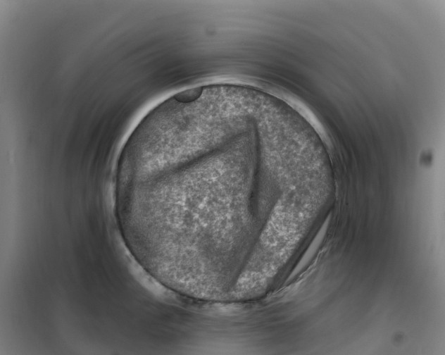 X0000100371148200807031856