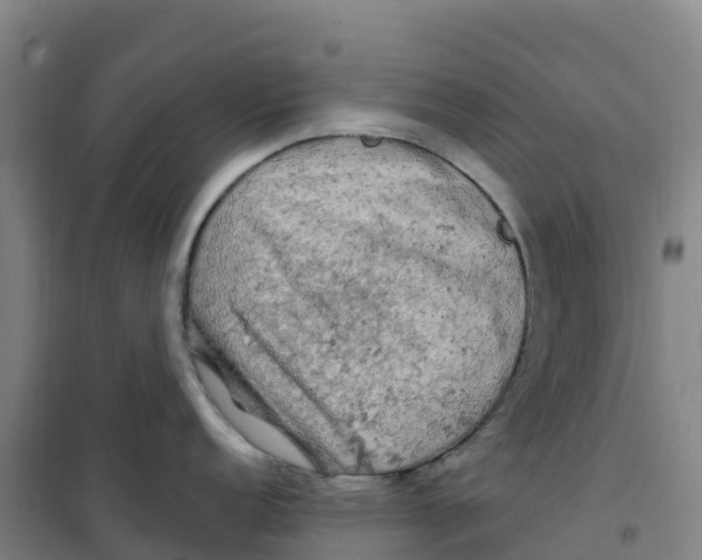 X0000100371152200807031856