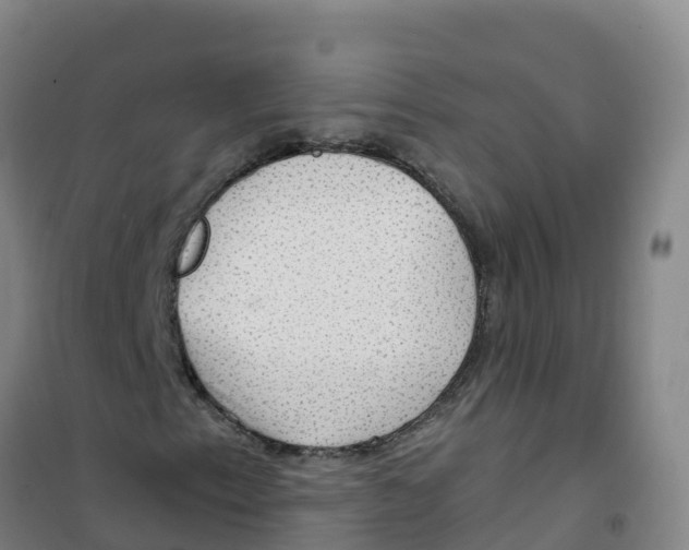 X0000100371153200807031855