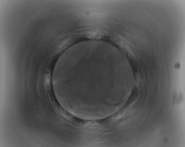 X0000100371154200807031855