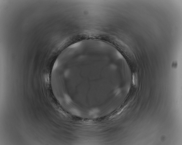 X0000100371155200807031855