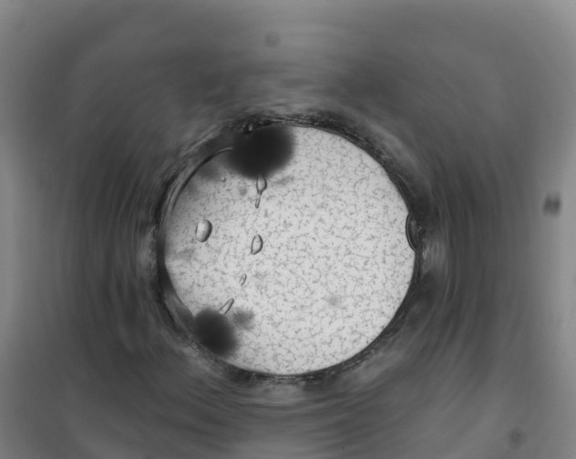 X0000100371156200807031855