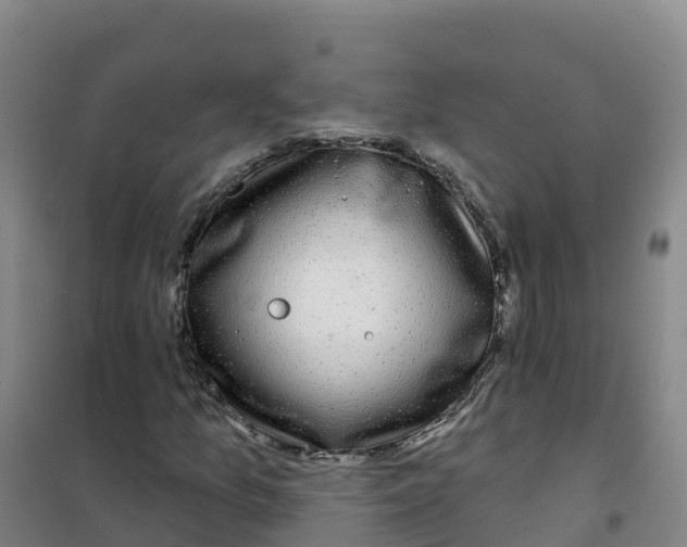 X0000100371157200807031855