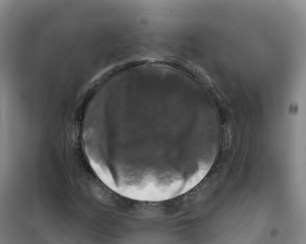 X0000100371158200807031855