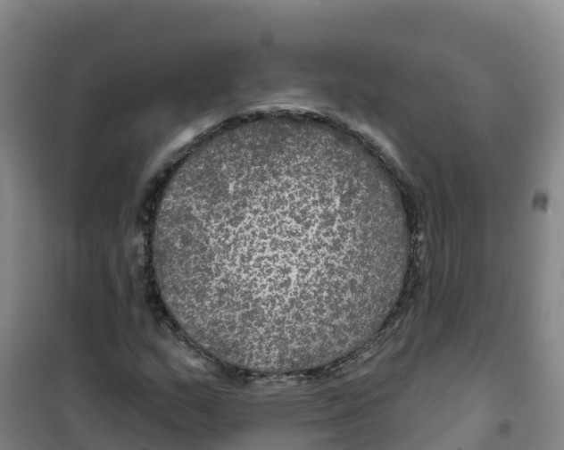 X0000100371159200807031855