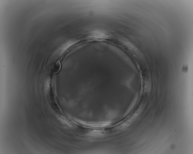 X0000100371161200807031855