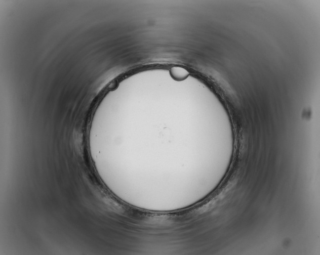 X0000100371162200807031855