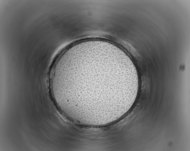 X0000100371164200807031855