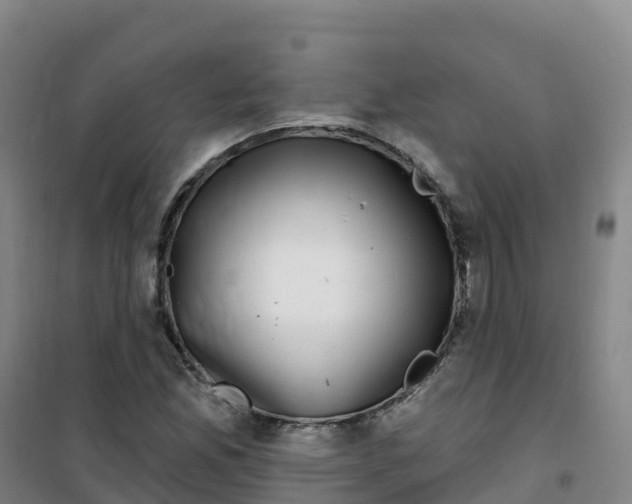 X0000100371165200807031855