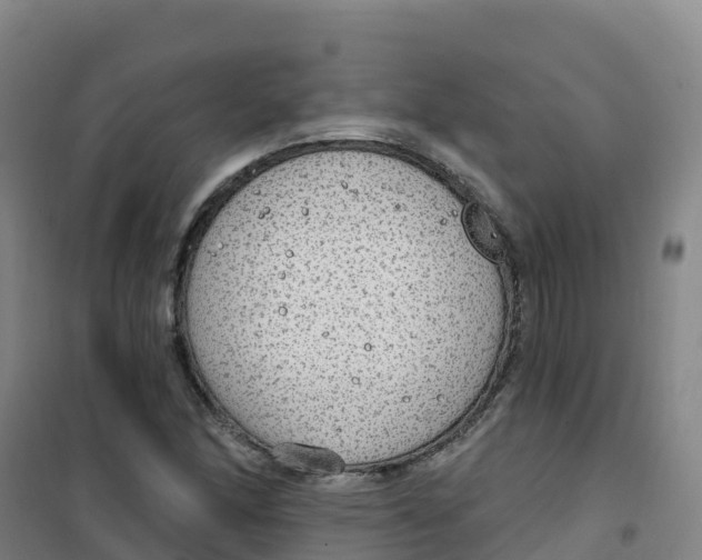 X0000100371166200807031855