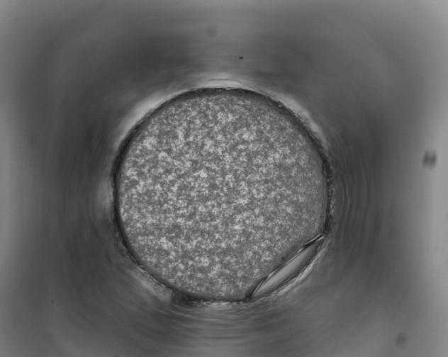 X0000100371167200807031855