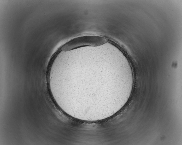 X0000100371168200807031855