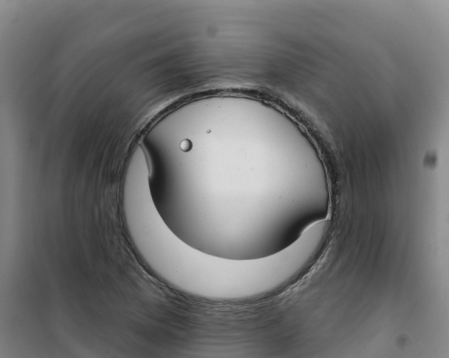 X0000100371169200807031855