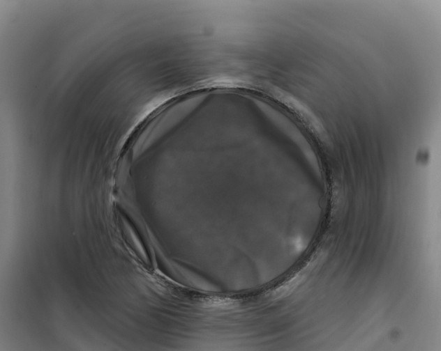 X0000100371170200807031855