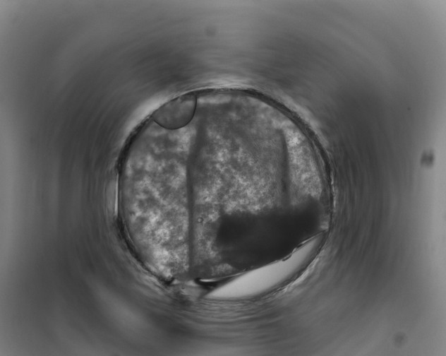 X0000100371171200807031855