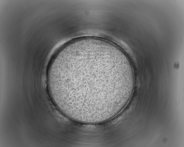 X0000100371172200807031855