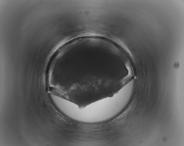 X0000100371173200807031855