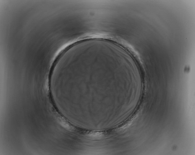 X0000100371174200807031855