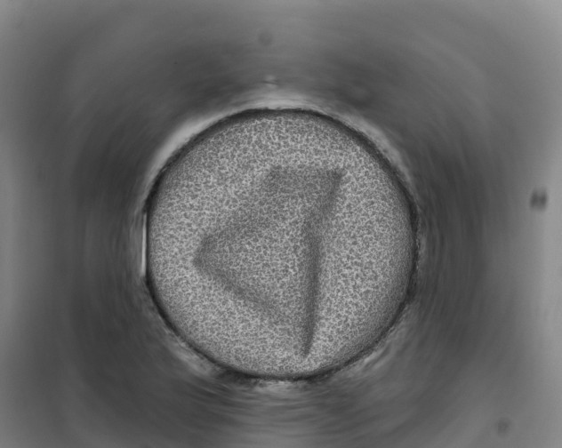 X0000100371175200807031855