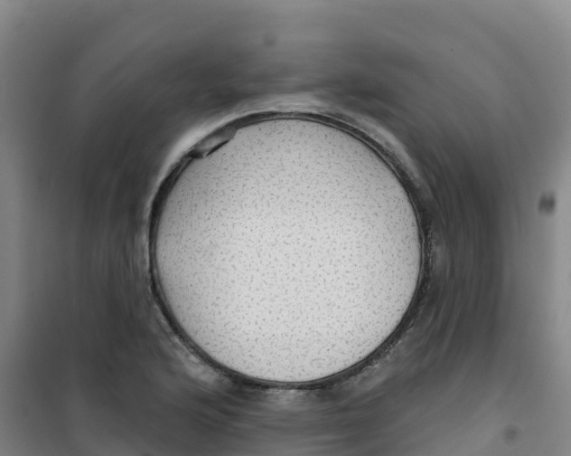 X0000100371176200807031855