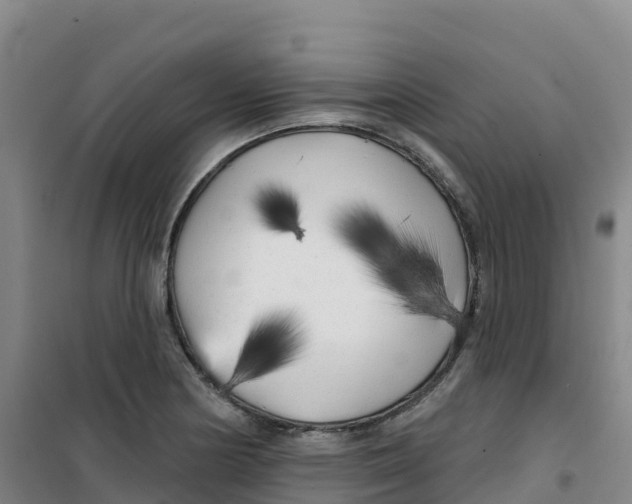 X0000100371178200807031855