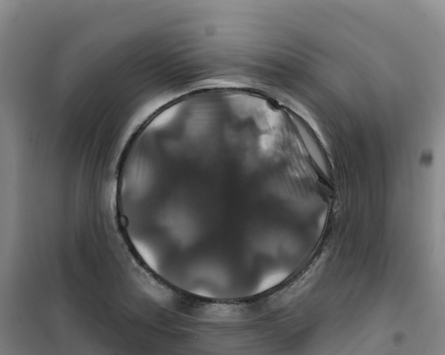 X0000100371179200807031855