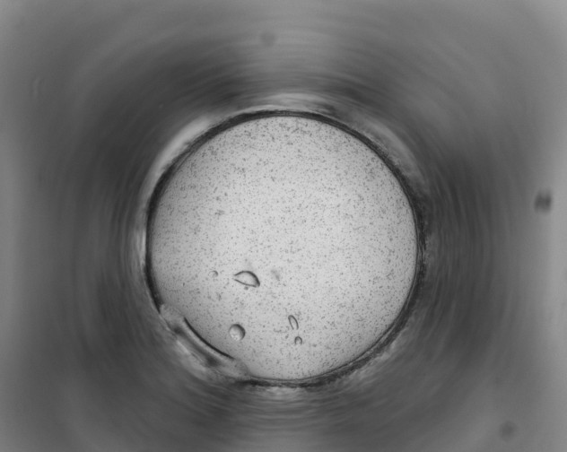 X0000100371180200807031855