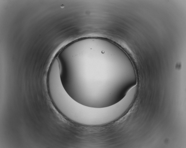 X0000100371181200807031855