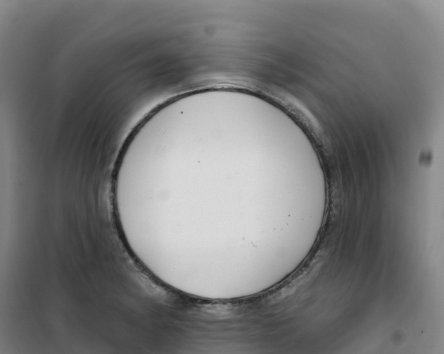 X0000100371182200807031855