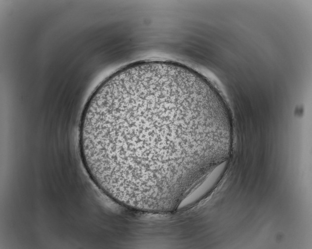 X0000100371183200807031855