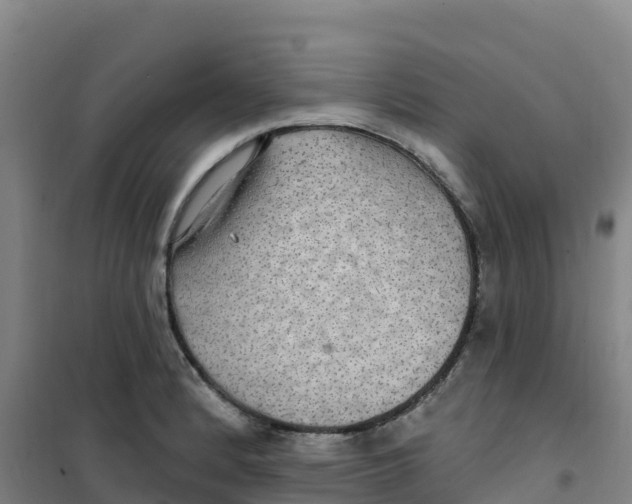 X0000100371184200807031855