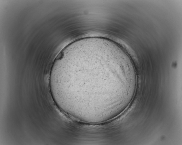 X0000100371185200807031855