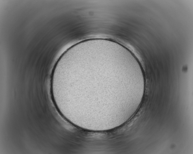 X0000100371187200807031855