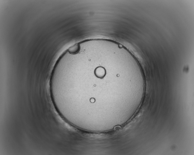 X0000100371189200807031855