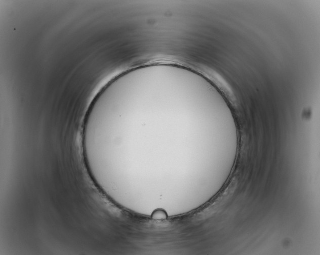 X0000100371190200807031855