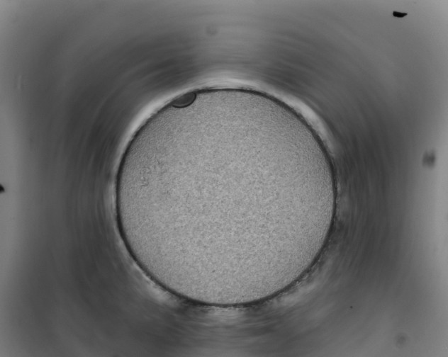 X0000100371191200807031855