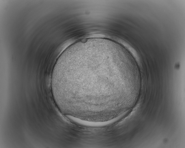 X0000100371193200807031855