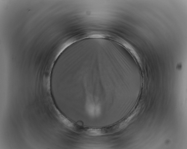 X0000100371194200807031855