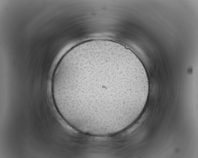 X0000100371196200807031855