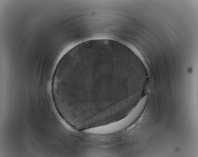 X0000100371197200807031855