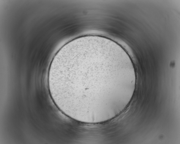 X0000100371199200807031855