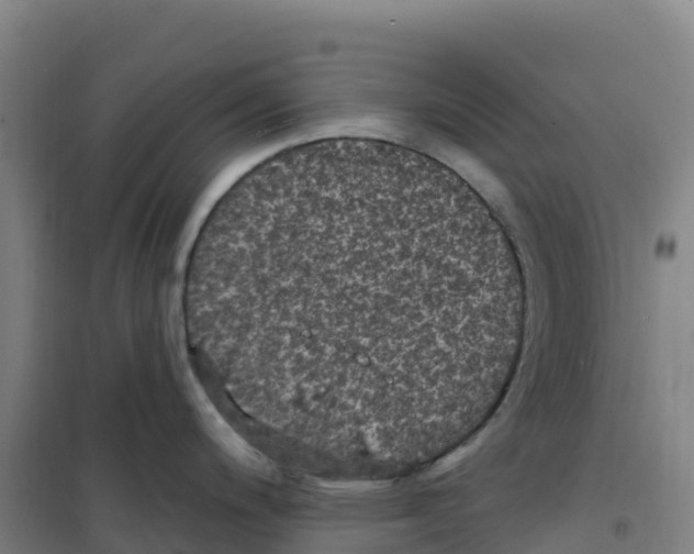 X0000100371200200807031855